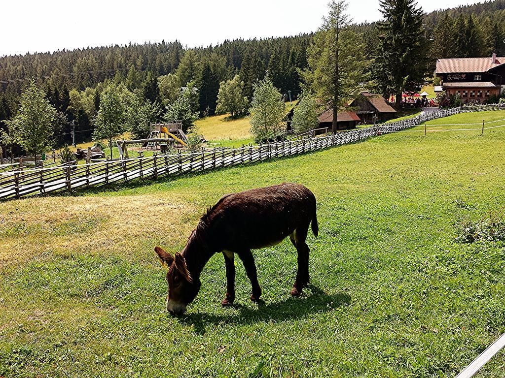 Villa Luef Mönichkirchen Екстериор снимка